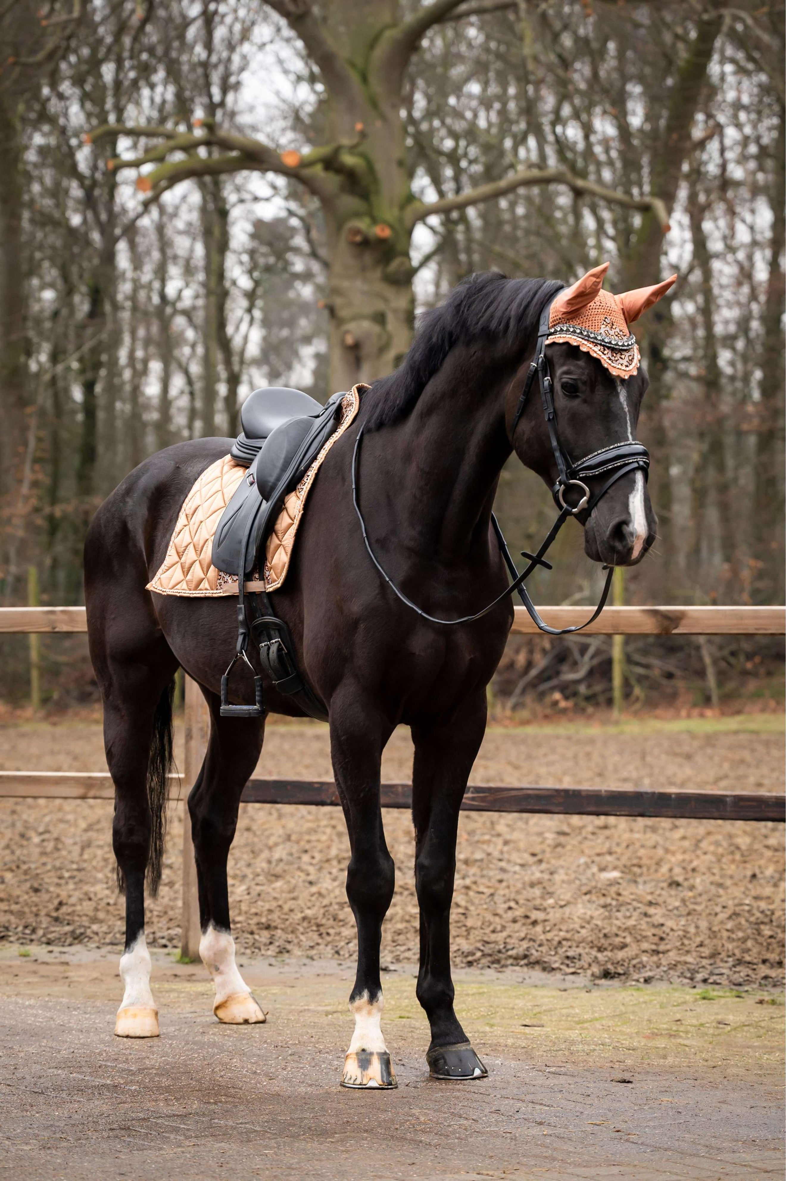 HB Showtime Zadeldekje Rio Dressuur Beige HB Showtime Zadeldekje Rio Dressuur Beige