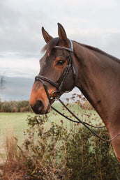 Dyon Teugels 1/2 7 Stops Ringsluiting Bruin