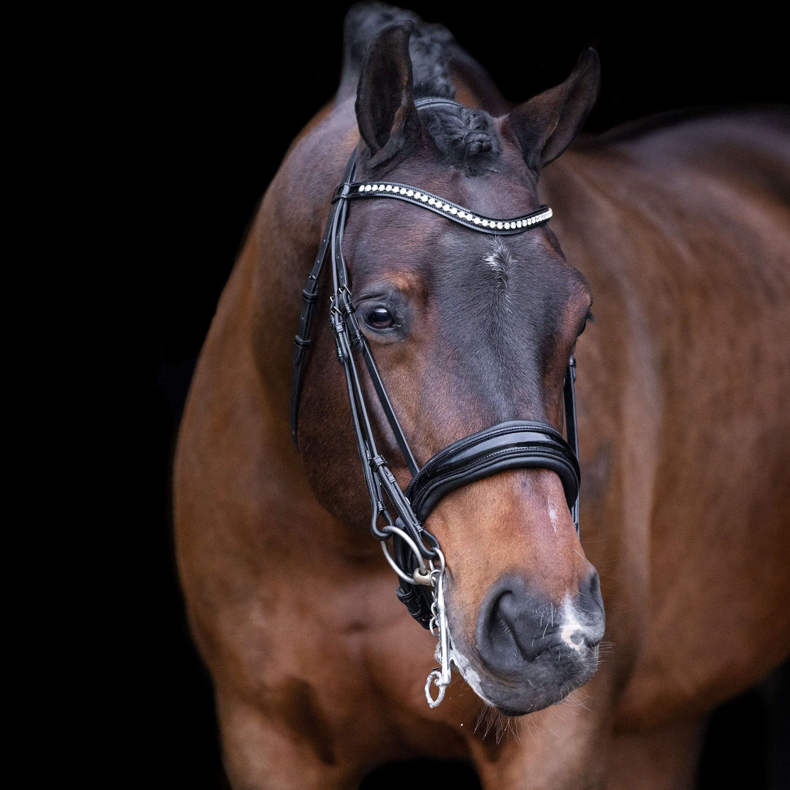Imperial Riding Stang- en Trenshoofdstel IRHAthena Zwart