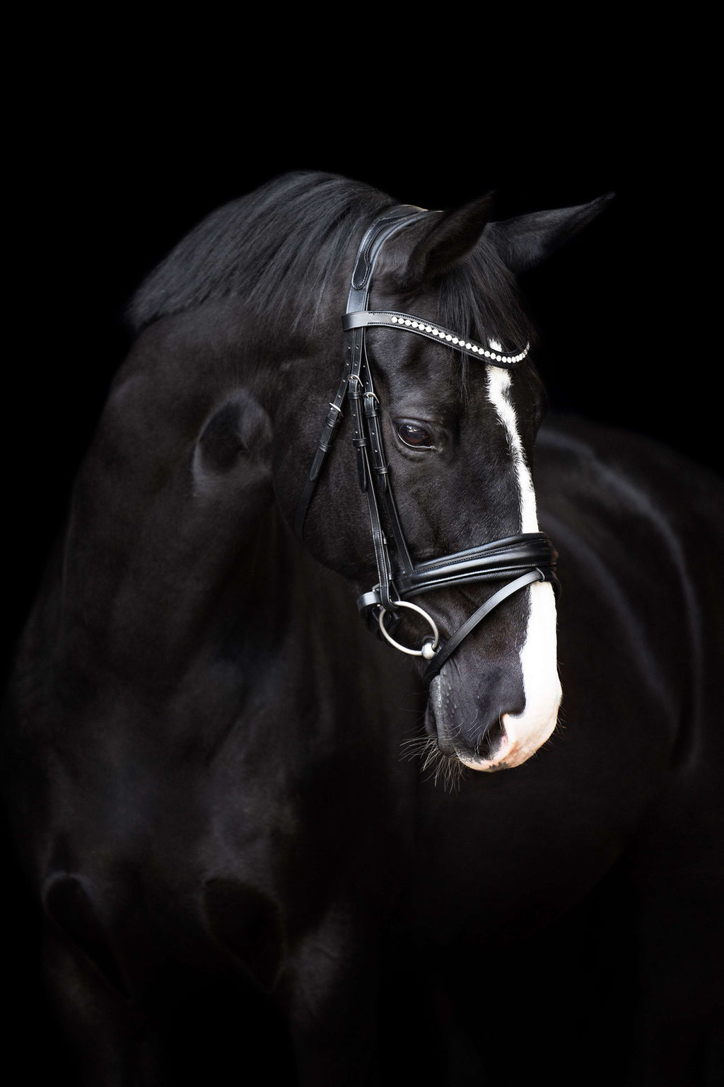 Imperial Riding Hoofdstel IRHFria Trens Zwart