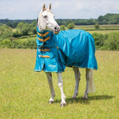 Shires Turnout Highlander Original Lite Combo 0g Teal