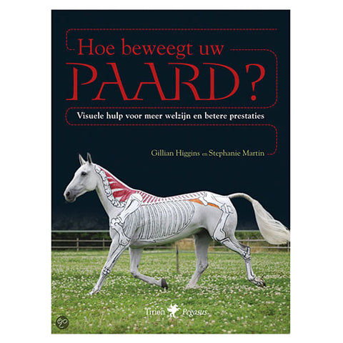 Hoe beweegt uw paard?