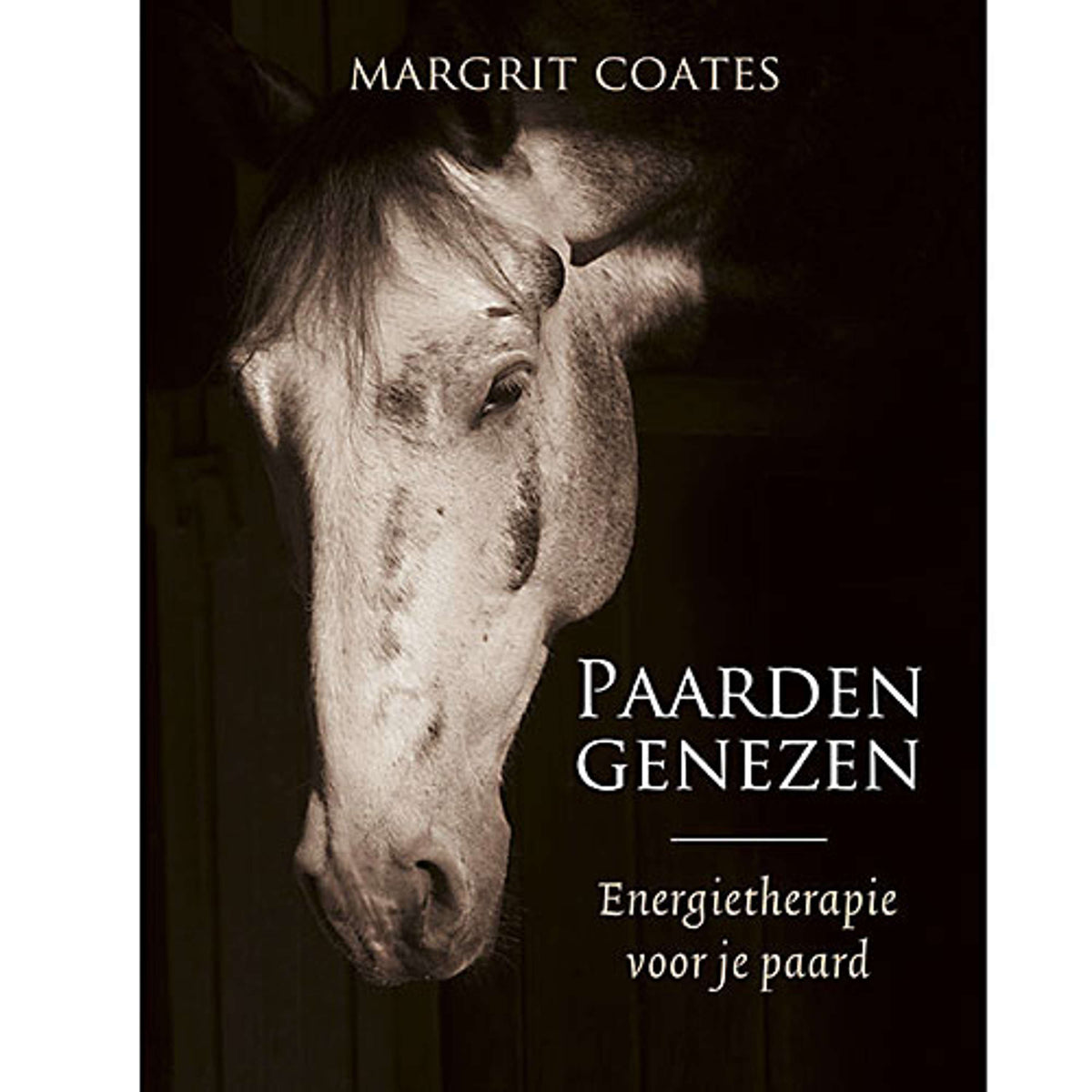 Paarden genezen