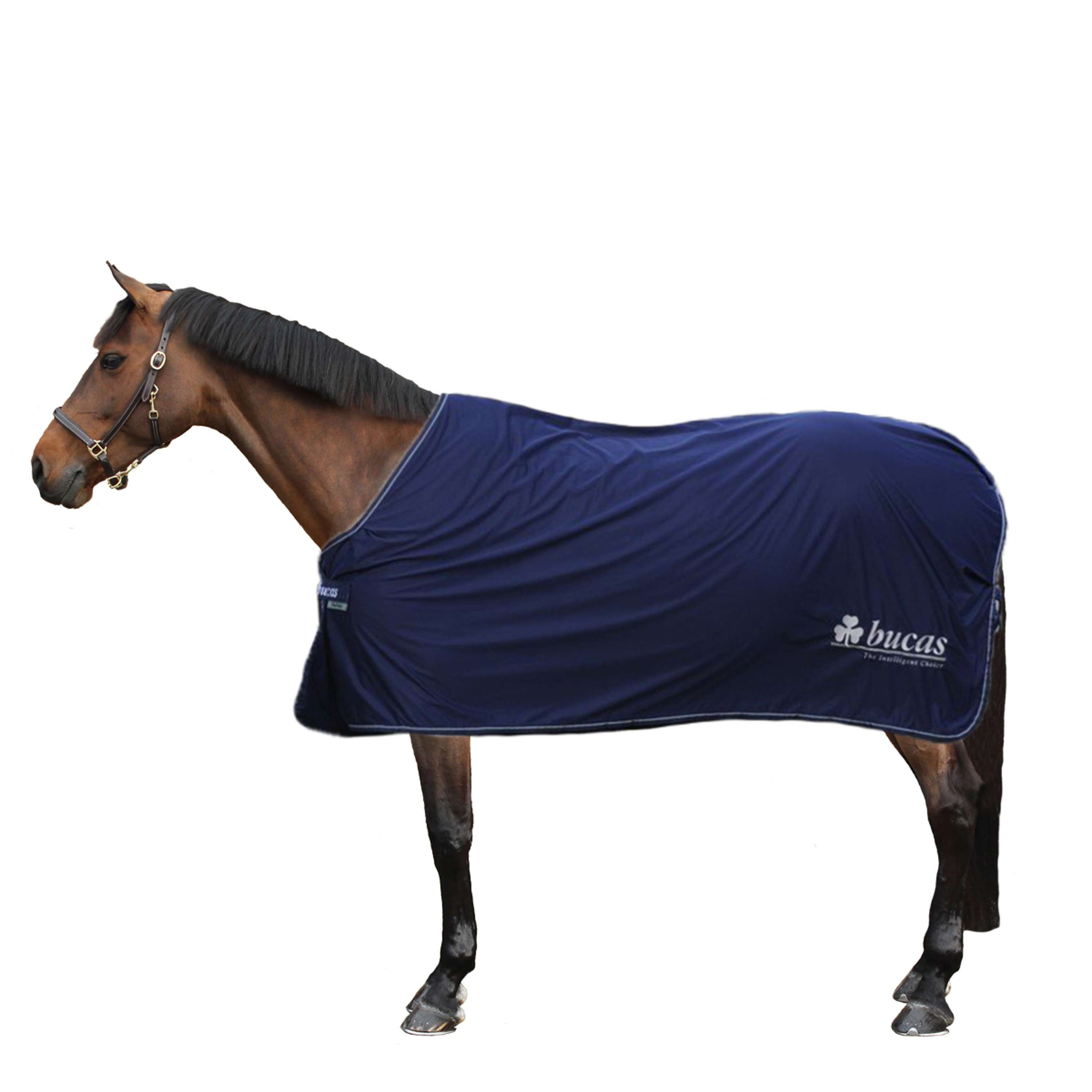 Bucas Prize Cooler Navy/silver Bucas logo Bucas Prize Cooler Navy/silver Bucas logo