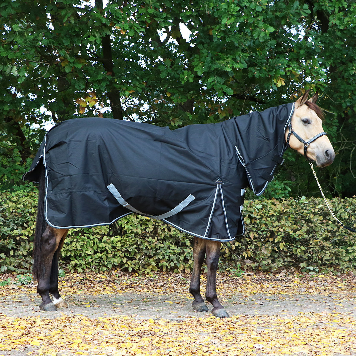 Harry's Horse Regendeken 0g Thor Met Nek Stretch Limo