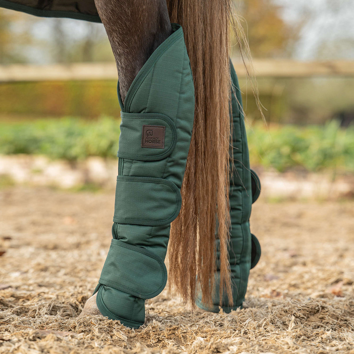 Agradi Horse Transportbeschermers 1200D Groen