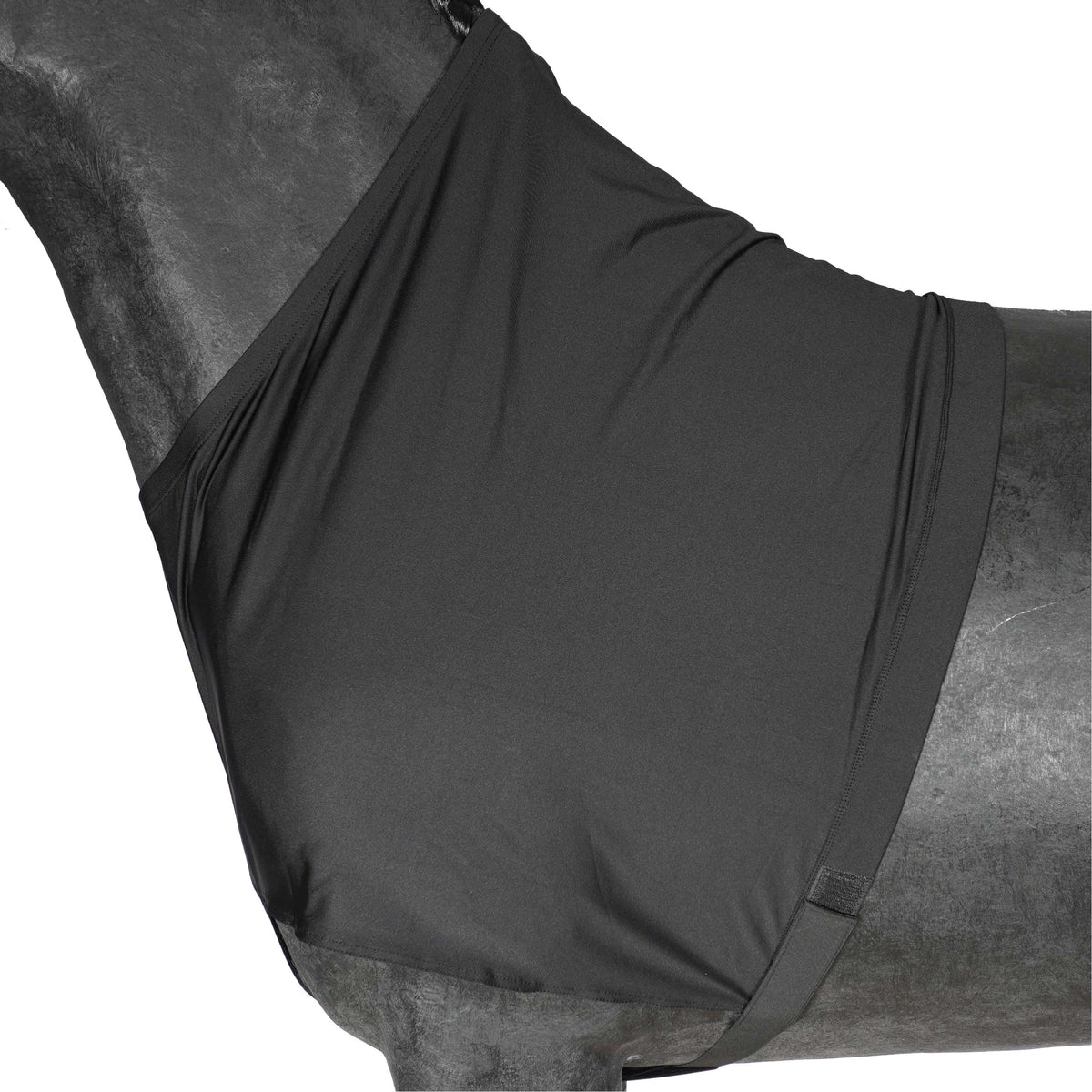 Harry's Horse Lycra Borstbeschermer Zwart