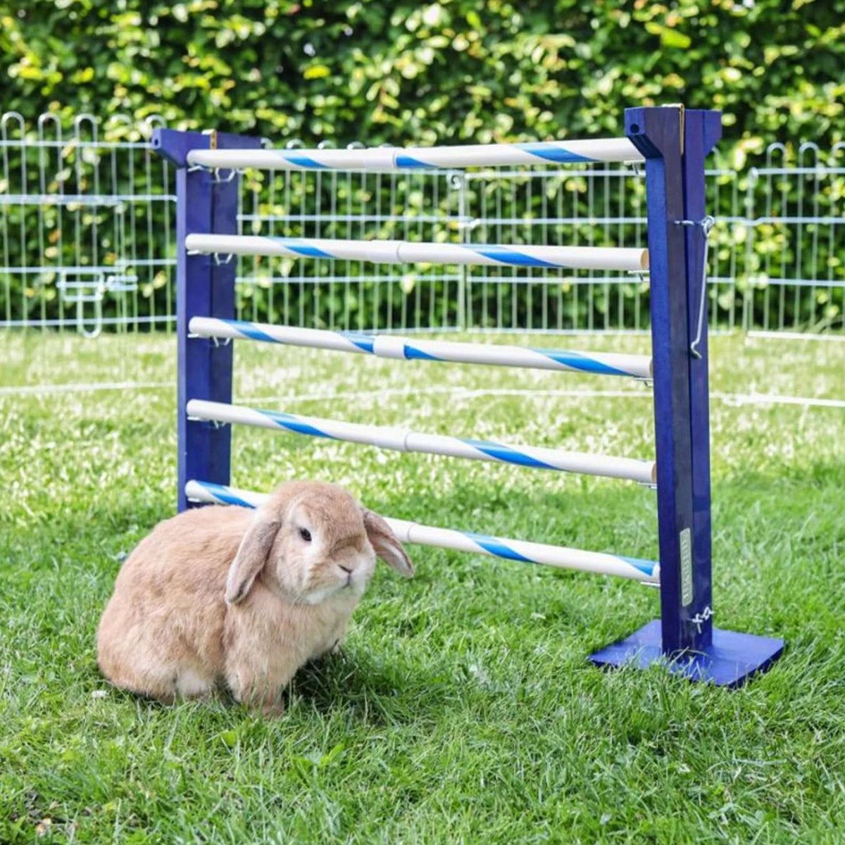 Kerbl Konijnenhindernis Agility 2