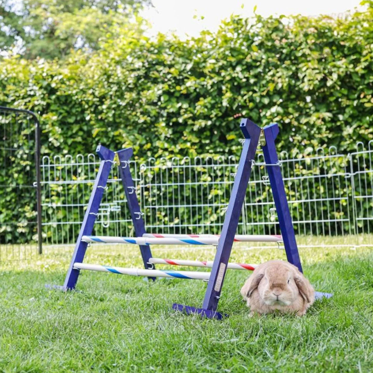 Kerbl Konijnenhindernis Agility 2