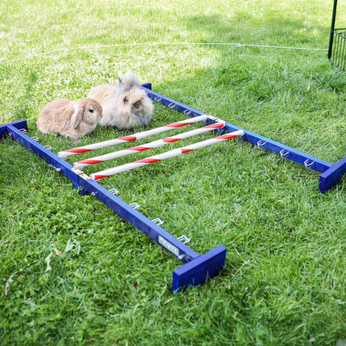 Kerbl Konijnenhindernis Agility 2