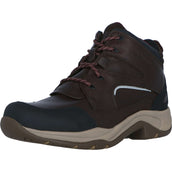 Ariat Stalschoenen Telluride II H2O Donkerbruin