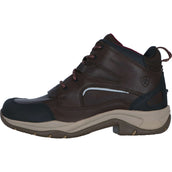 Ariat Stalschoenen Telluride II H2O Donkerbruin