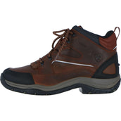 Ariat Stalschoenen Telluride II H2O Copper Man's Copper