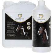 Excellent Equi Total Balance