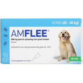 Amflee 268mg Spot-On Hond L