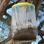 Insective Vliegenzak XL