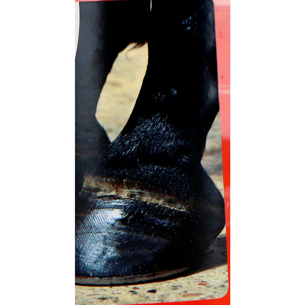 Excellent Hoof Oil Gel