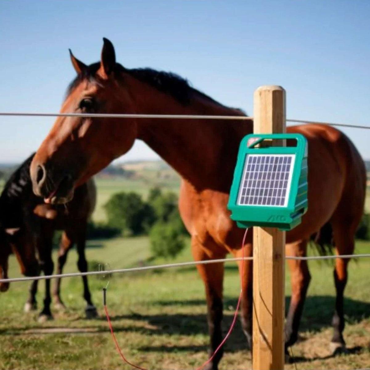 Ako Afrasterapparaat SunPower S250