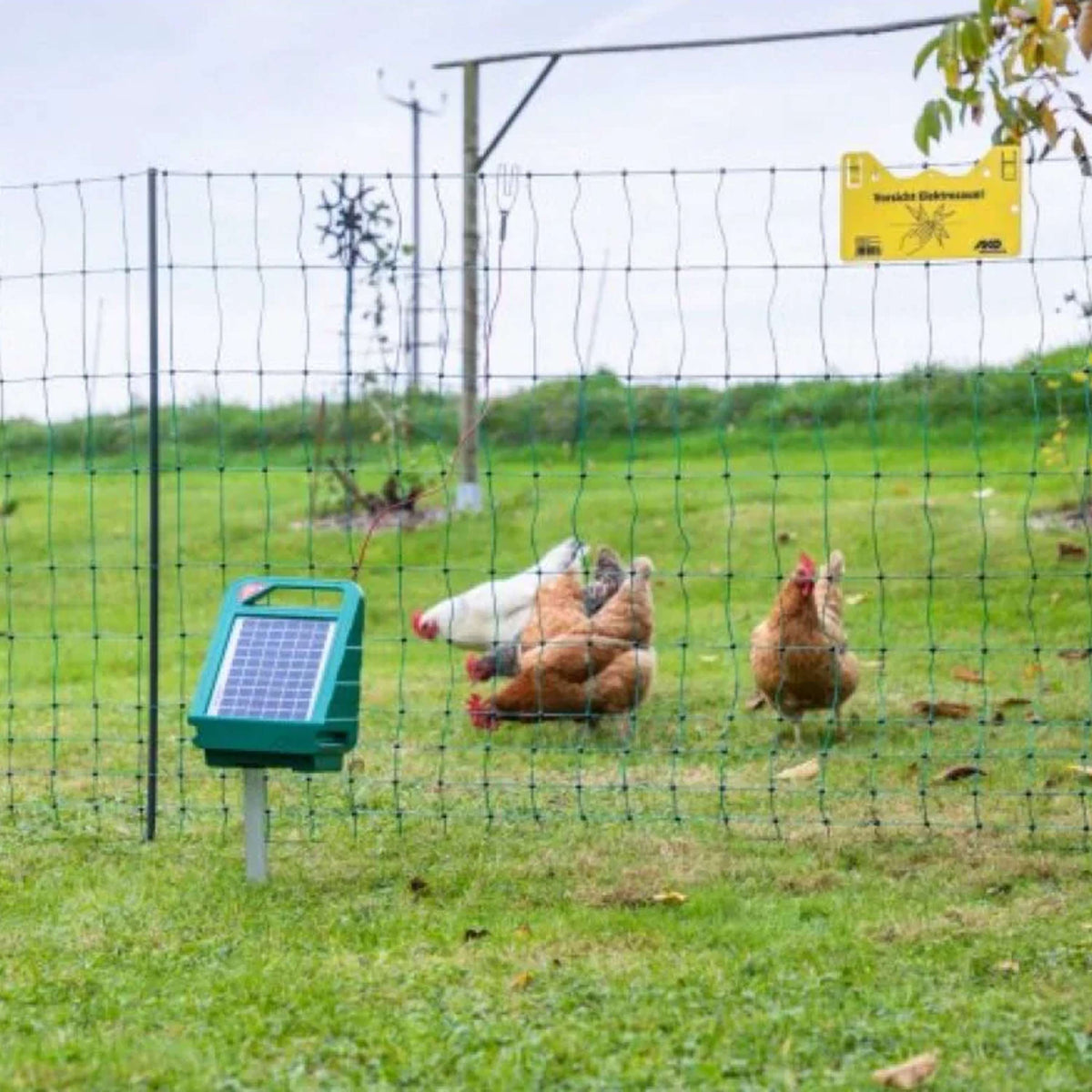 Ako Afrasterapparaat SunPower S250