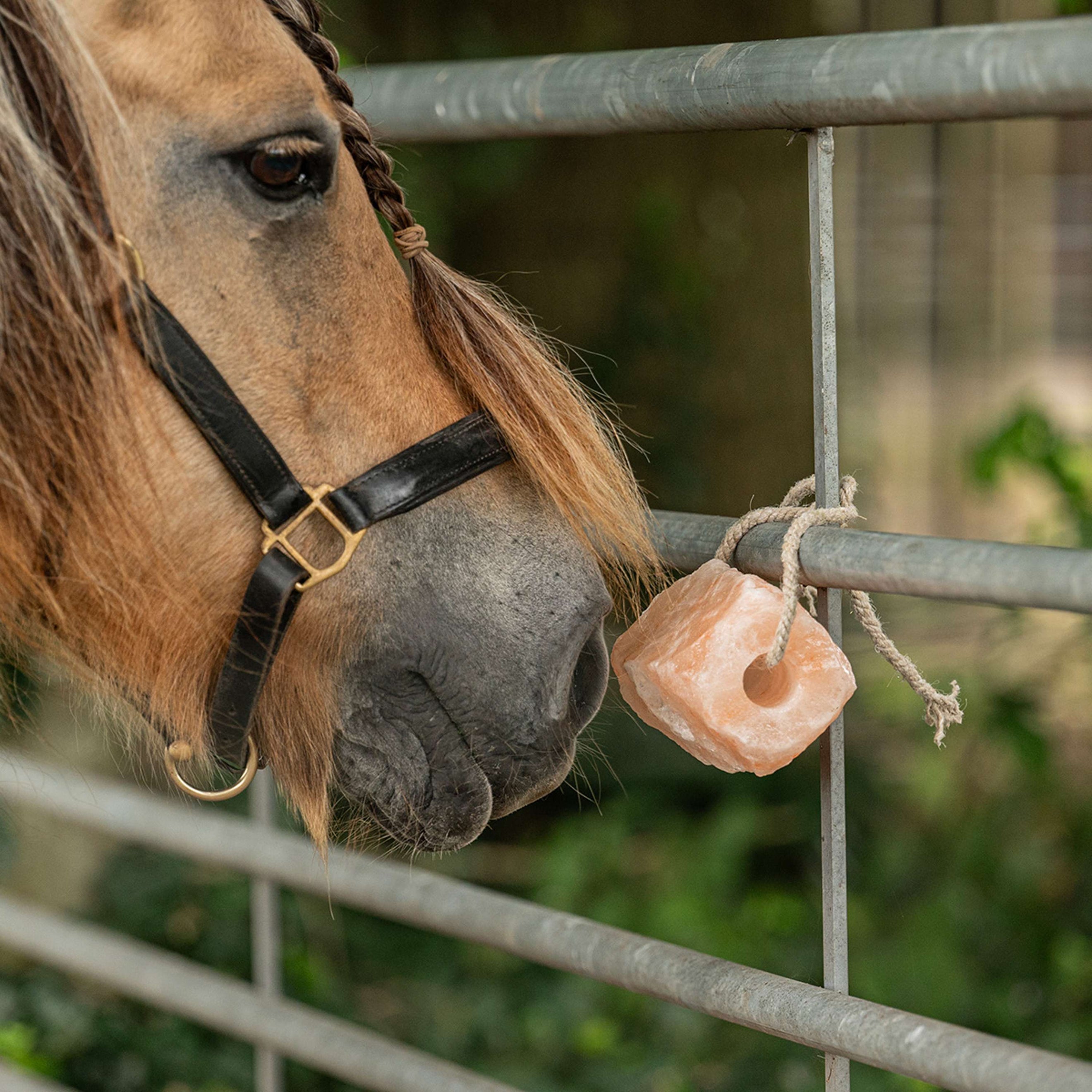 Agradi Health Himalaya Liksteen Agradi Health Himalaya Liksteen