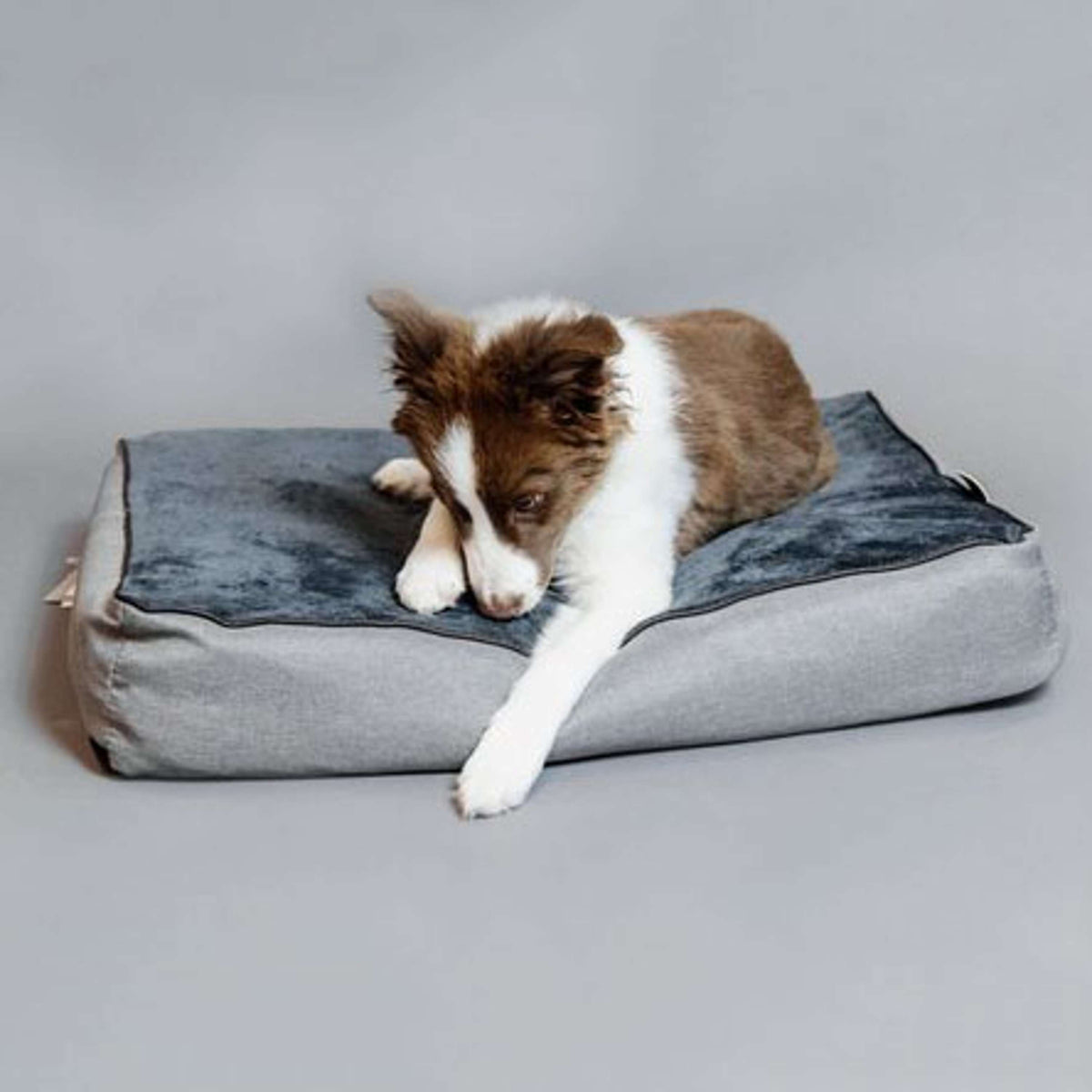 Kentucky Honden Bed Soft Pillow