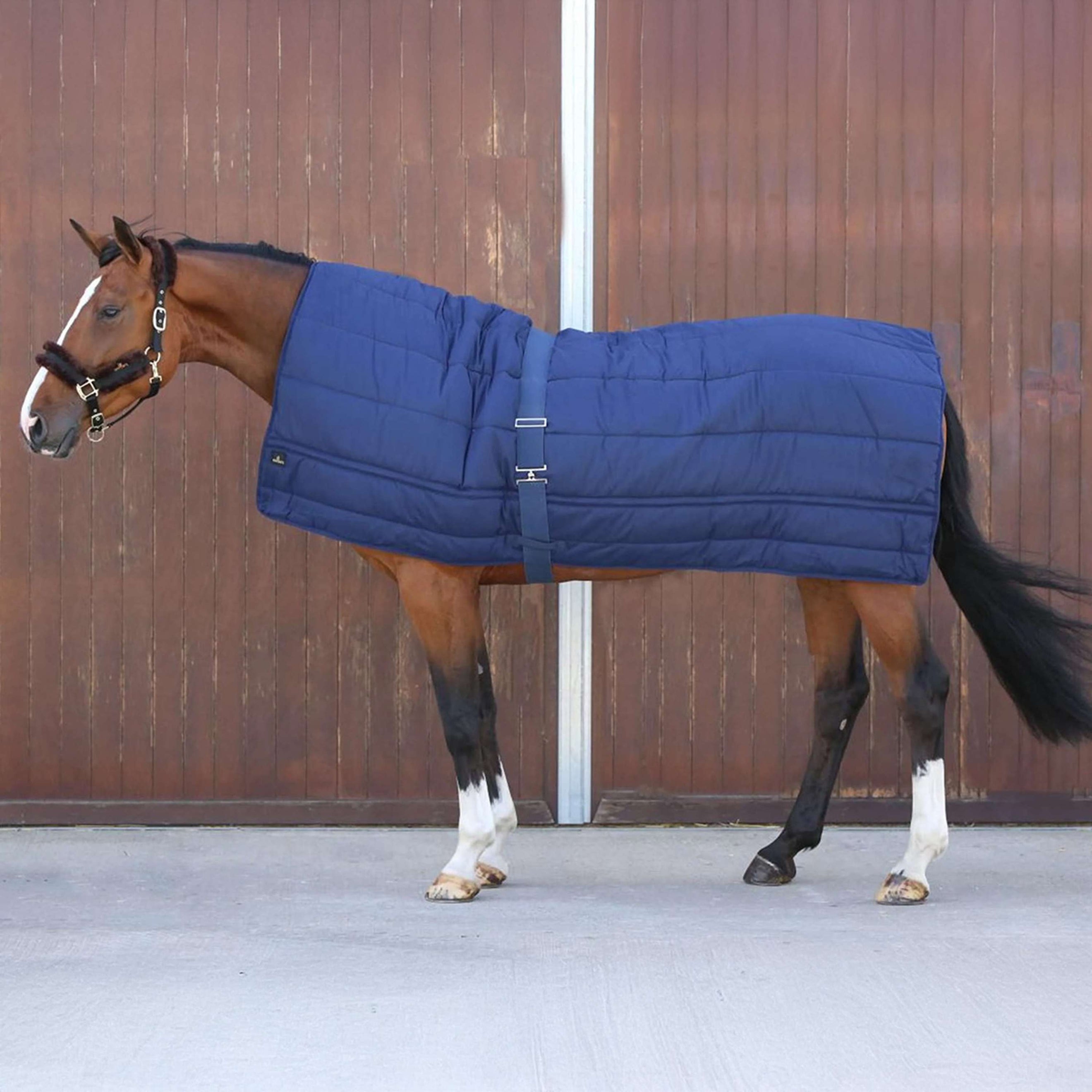 Kentucky Deken Horse Duvet 300g Navy Kentucky Deken Horse Duvet 300g Navy