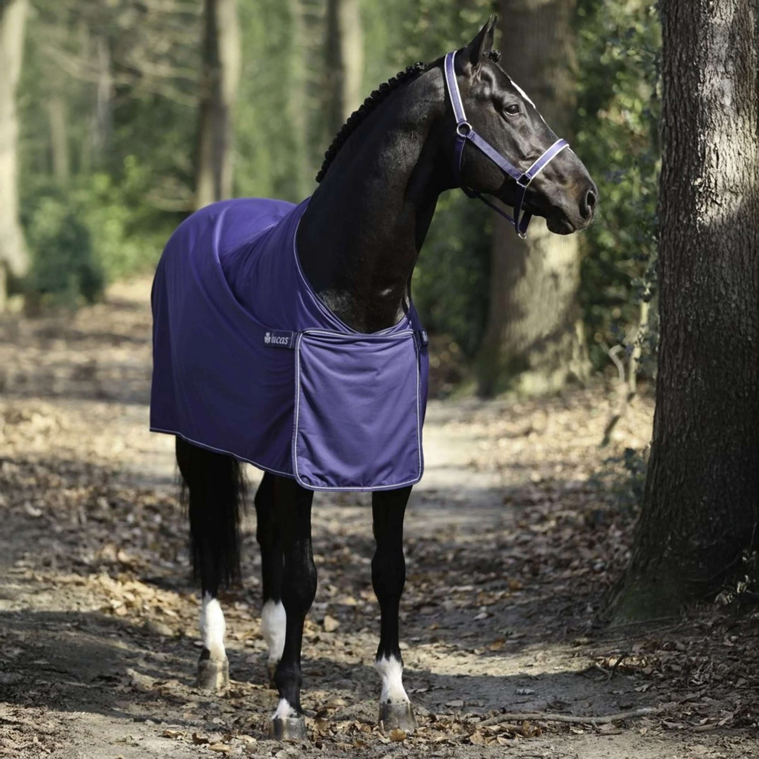 Bucas Panel Prize Cooler Navy/Silver