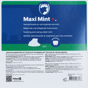 Excellent Maxi Mint Grootverpakking incl. Dosator