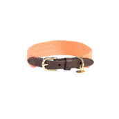 Kentucky Halsband Jacquard Neon Oranje