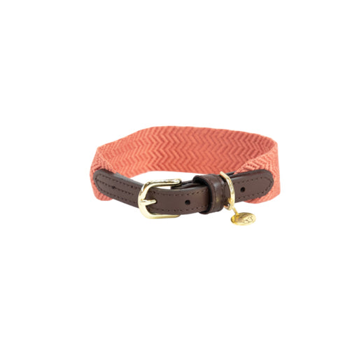 Kentucky Halsband Jacquard Terracotta