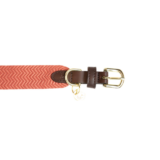 Kentucky Halsband Jacquard Terracotta