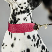 Kentucky Halsband Jacquard Roze