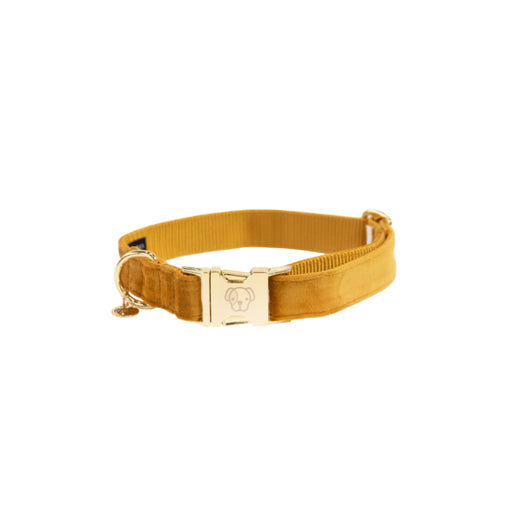 Kentucky Halsband Velvet Mustard