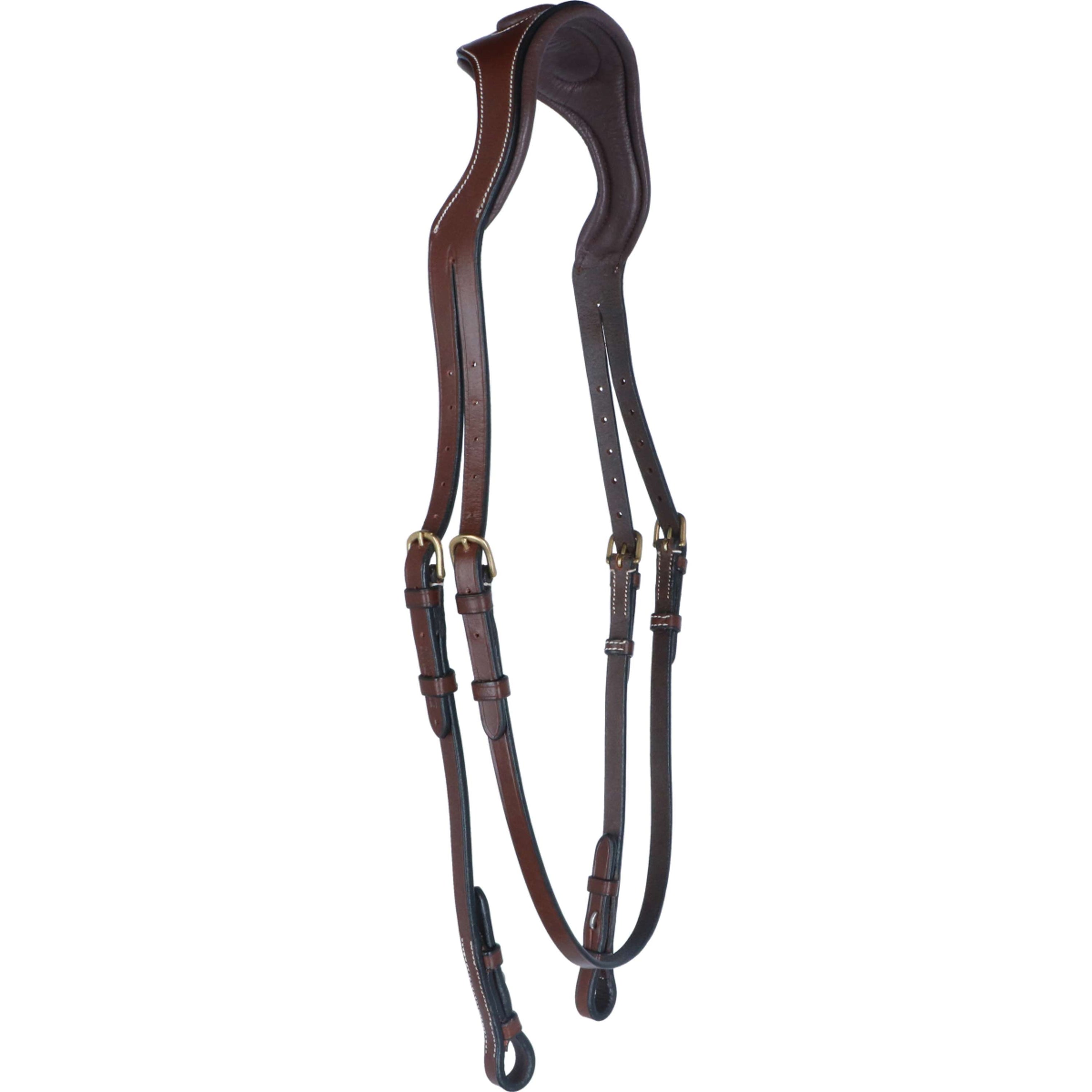 Eric Thomas Kopstuk Pro Anatomisch Havanna