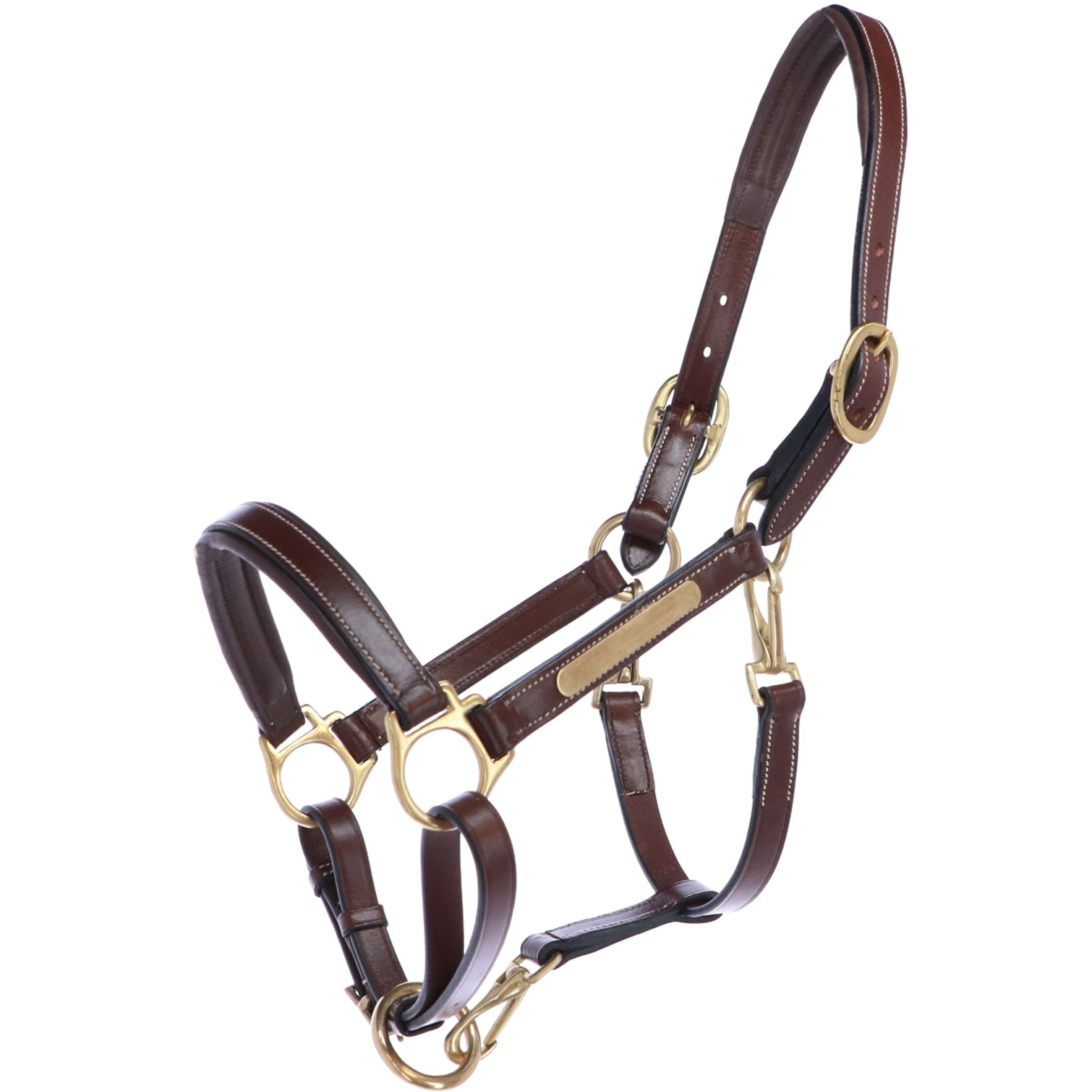 Eric Thomas Halster Pro Leer Grooming Havanna Eric Thomas Halster Pro Leer Grooming Havanna