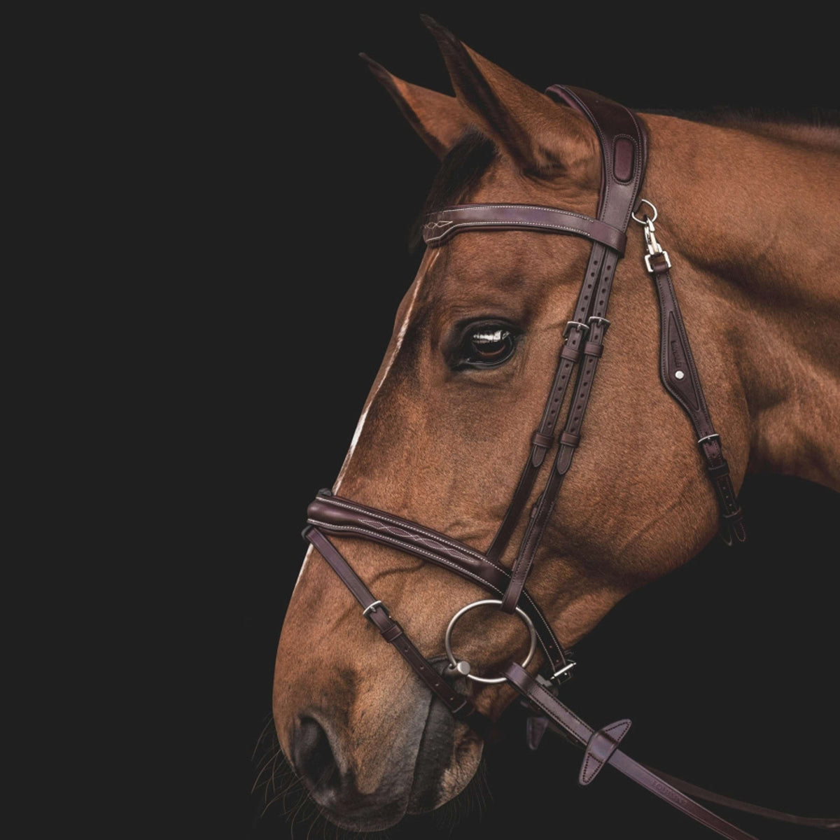 Equiline Hoofdstel JP Anatomisch Light Bruin