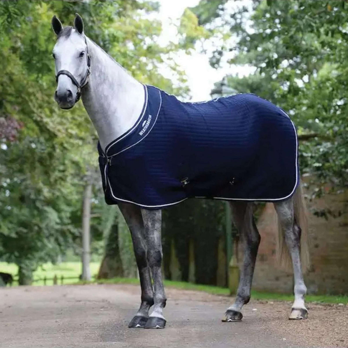 WeatherBeeta Cooler Thermocell Standard Neck Navy/Wit