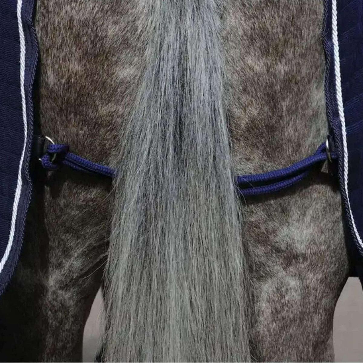 WeatherBeeta Cooler Thermocell Standard Neck Navy/Wit