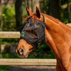 Agradi Horse Vliegenmasker Fine Mesh zonder Oren Zwart