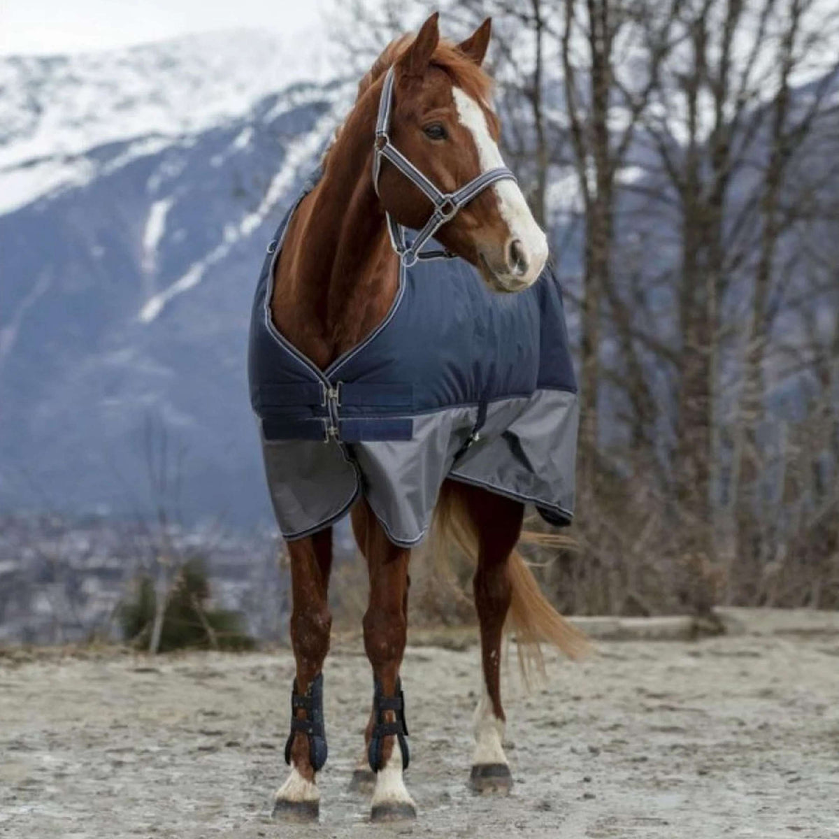 EQUITHÈME Regendeken Tyrex 600D 50g Navy/Grijs Dots