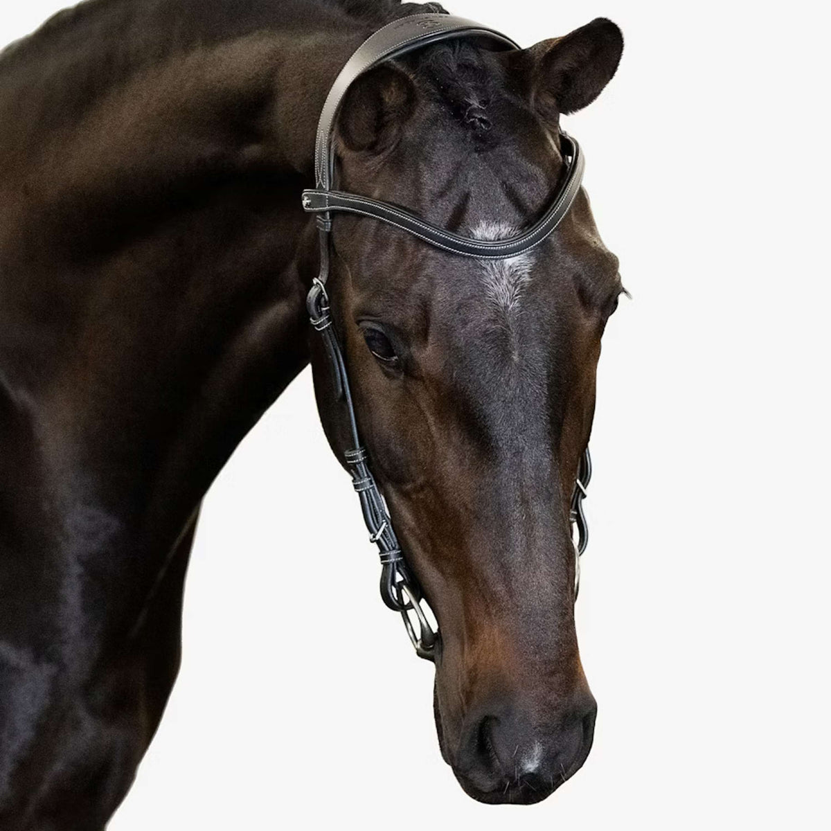 PS of Sweden Hoofdstel Helsinki Zwart