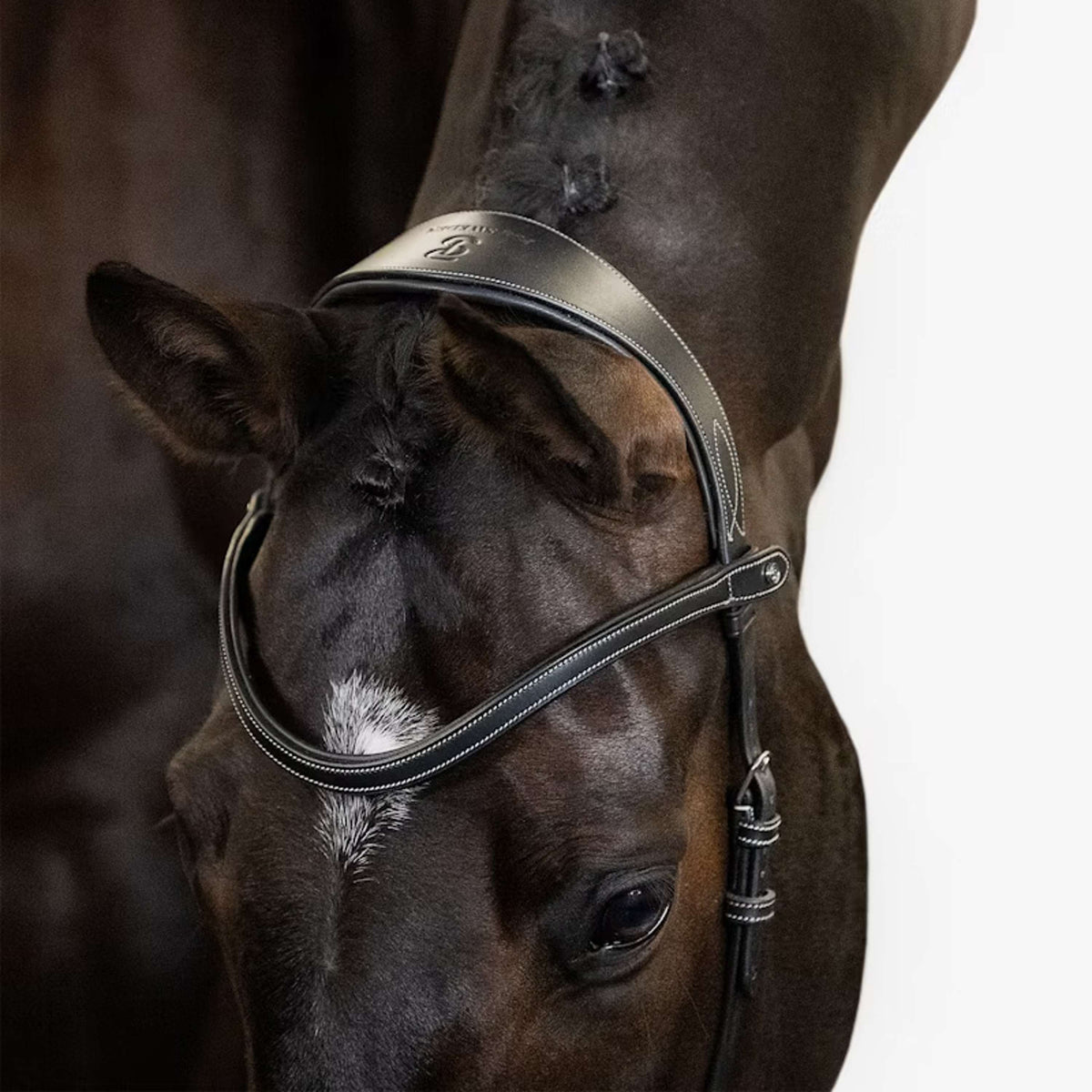 PS of Sweden Hoofdstel Helsinki Zwart