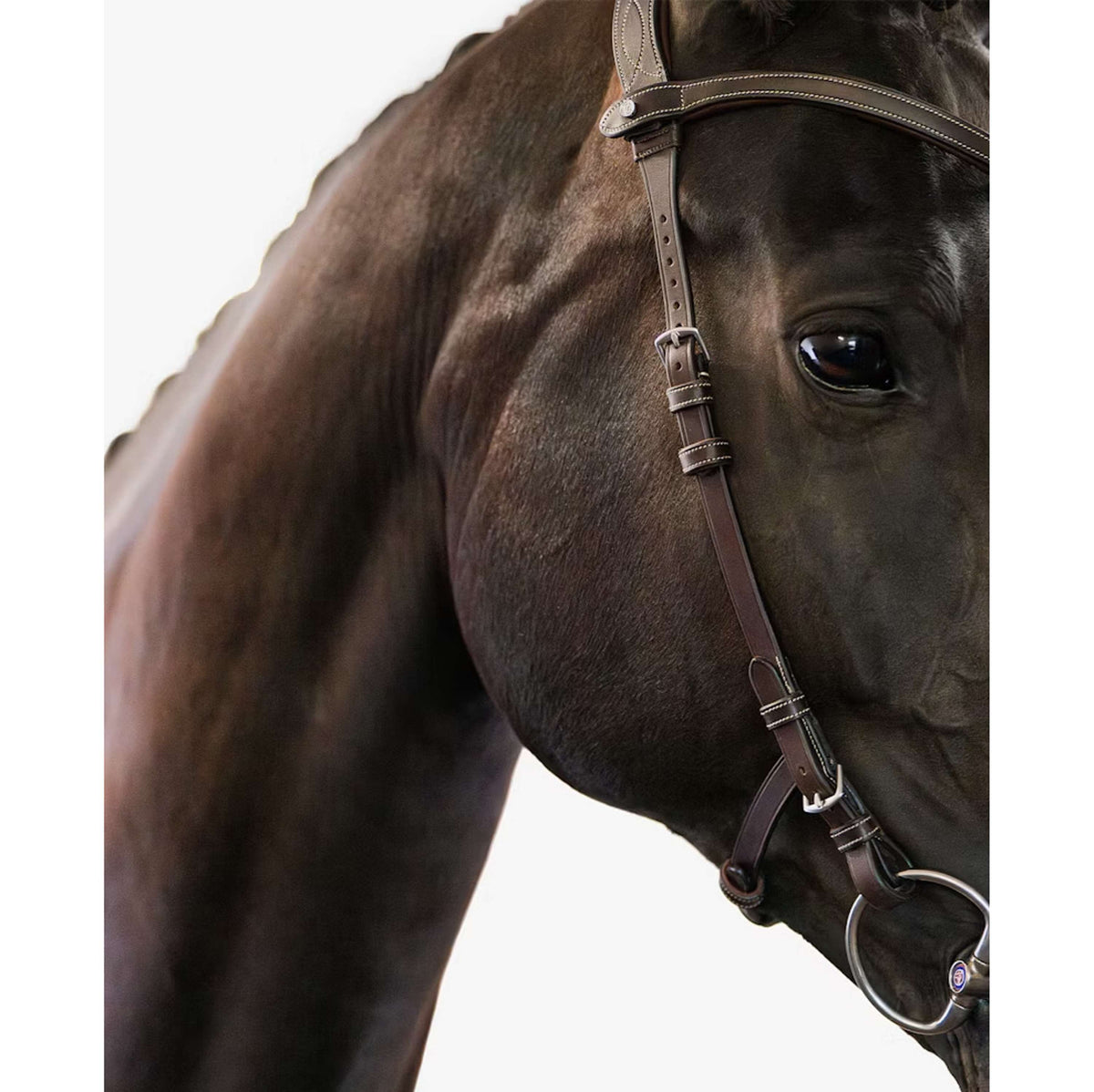 PS of Sweden Hoofdstel Helsinki Bruin