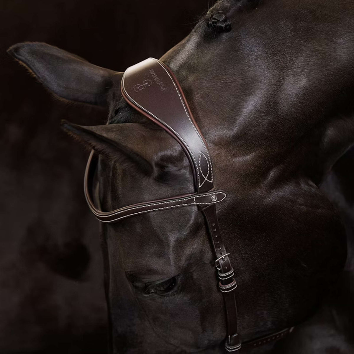 PS of Sweden Hoofdstel Helsinki Bruin