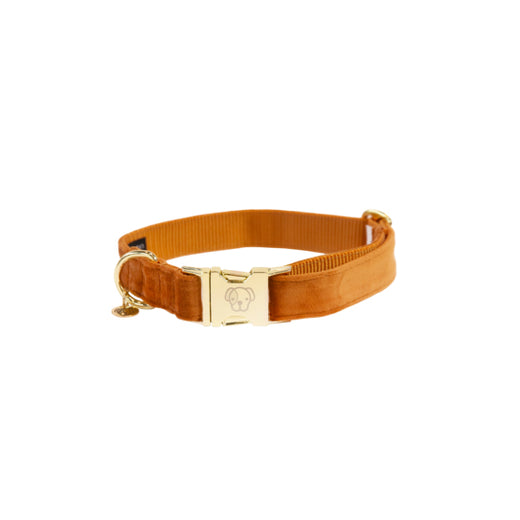 Kentucky Halsband Velvet Oranje