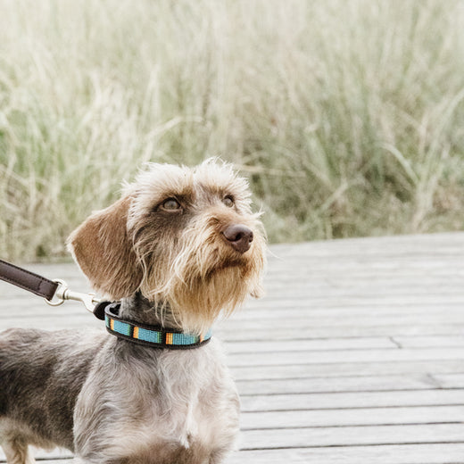 Kentucky Halsband Handgemaakte Parels Lichtblauw