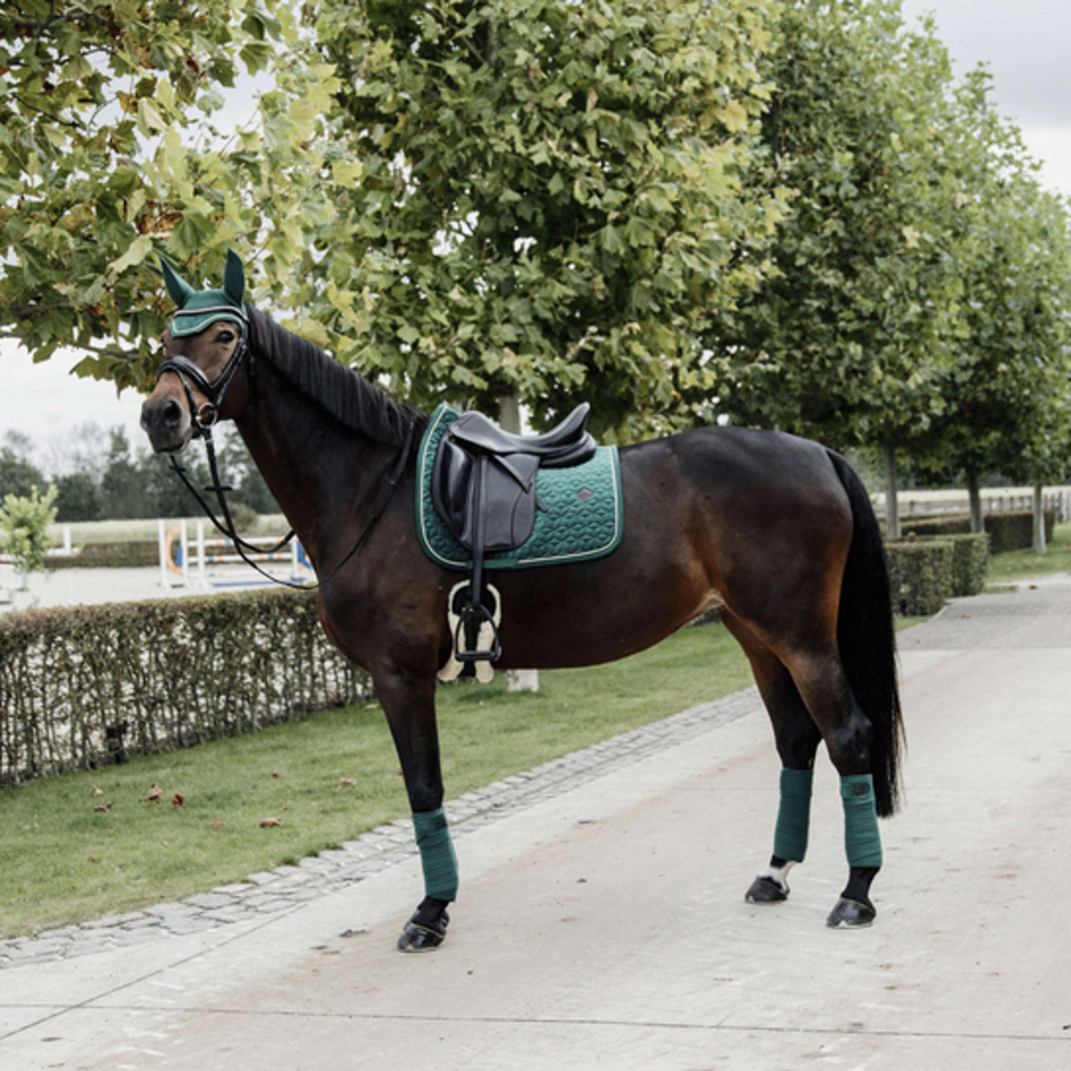 Kentucky Zadeldekje Velvet Pearls Dressuur Pine Green