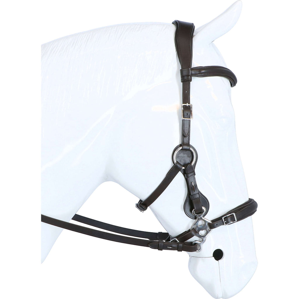 F.R.A. Hackamore Hoofdstel Calli Stud Hook Lederen Teugels Havana