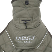 Catago Hondendeken Fir-Tech Trainer Grape Leaf