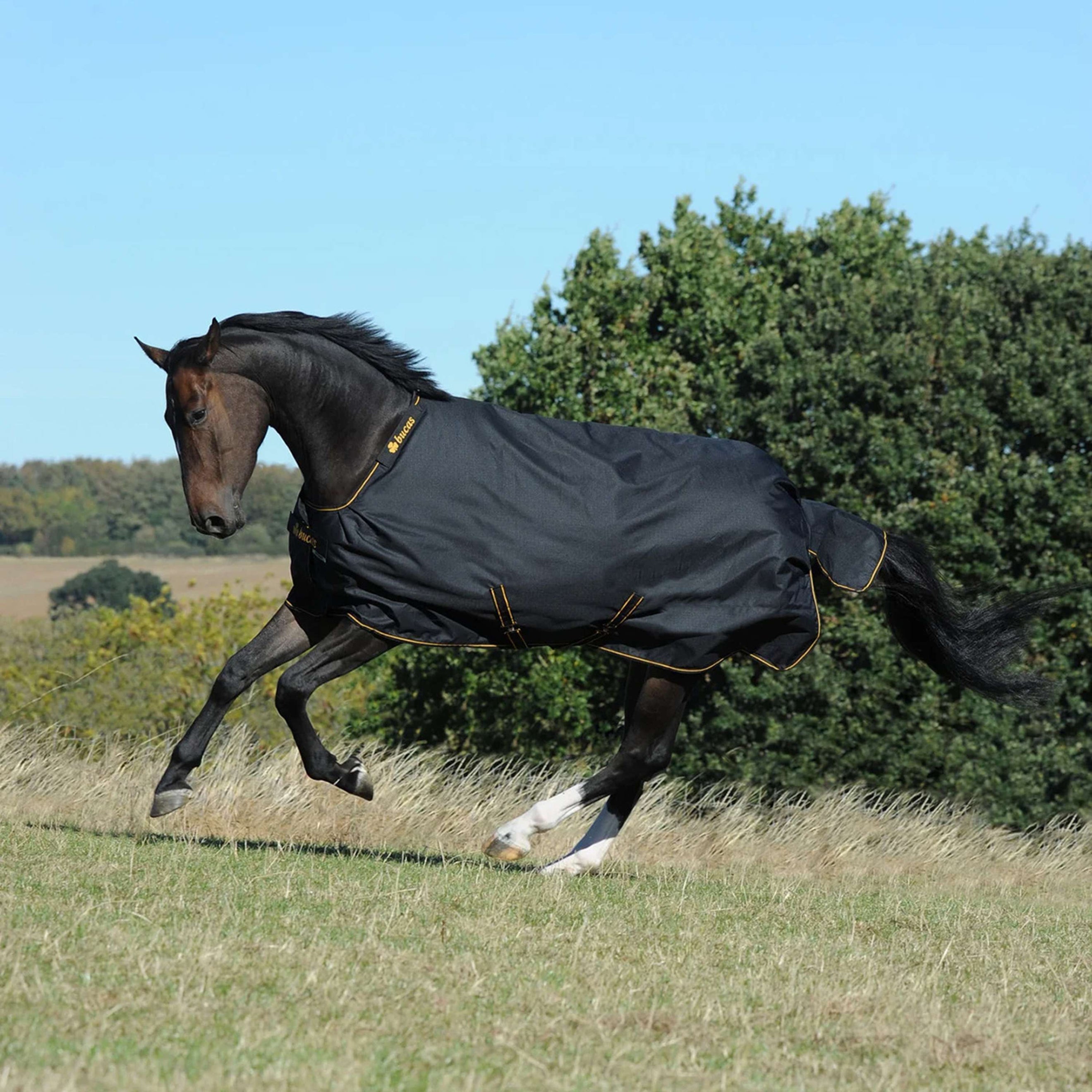 Bucas Irish Turnout Big Neck 50g Black/Gold